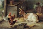 unknow artist poultry  162 oil painting reproduction